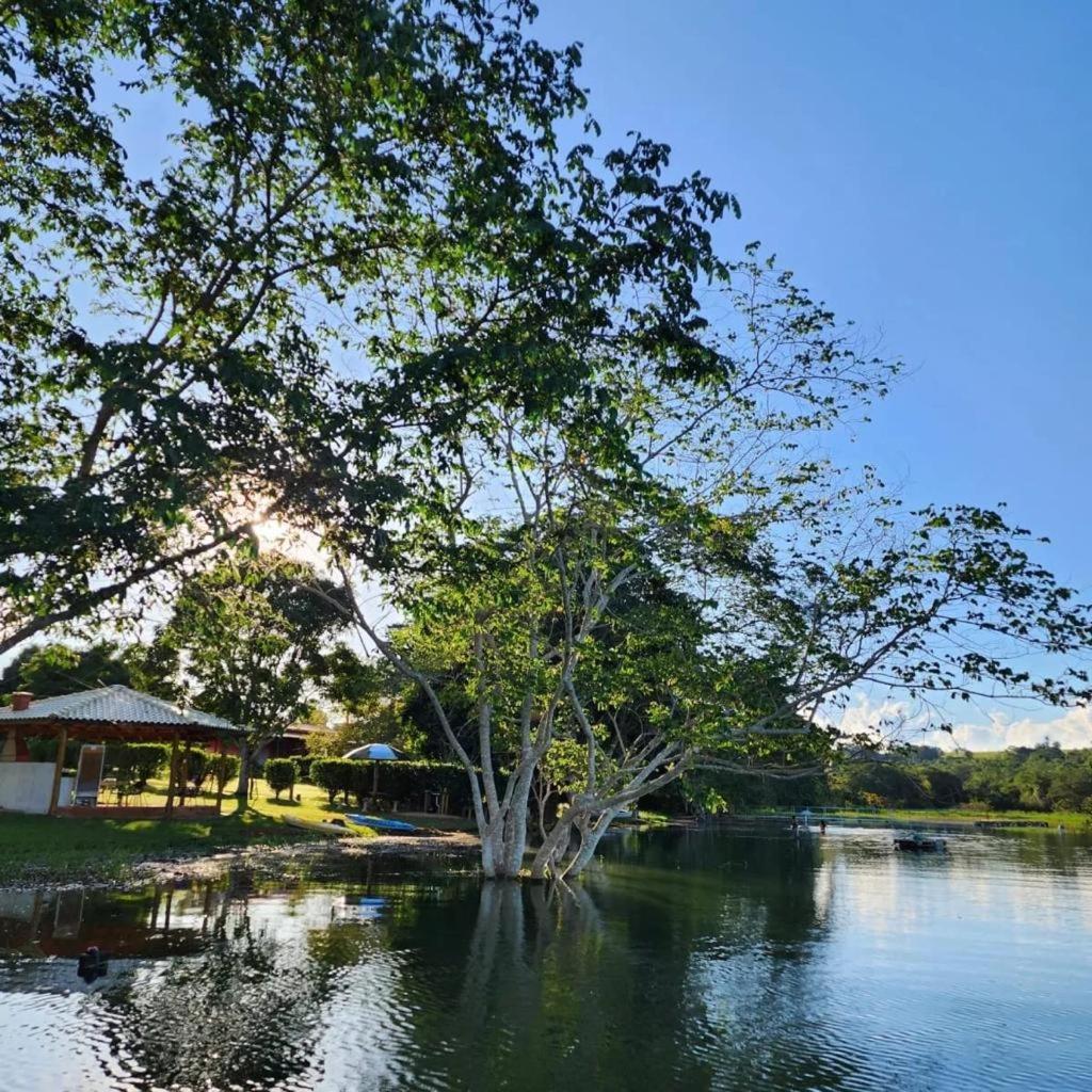 Pousada Aguas Claras/Canastra Delfinópolis Exterior foto